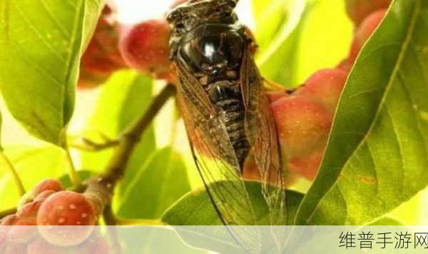 秋蝉羞羞漫画:1. 秋蝉低语,心事如烟