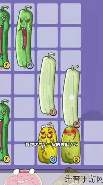 蘑菇视频在线吃瓜:1. 鲜 mushrooms 与热辣八卦,尽在蘑菇视频享受无限乐趣