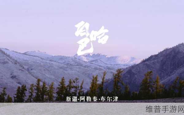 xxxxxl19d新疆:以下是一些关于“xxxxxl19d新疆拓展”的标题建议,字数均不少于10个字: