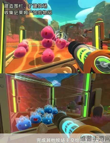 ZoomkooL牧场猪的日常生活：1. ＂探索ZoomkooL牧场猪的幸福日常生活