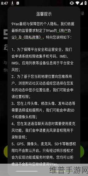 九幺1.0.31版本风险:1. 九幺1.0.31版本:新风险管理策略解析