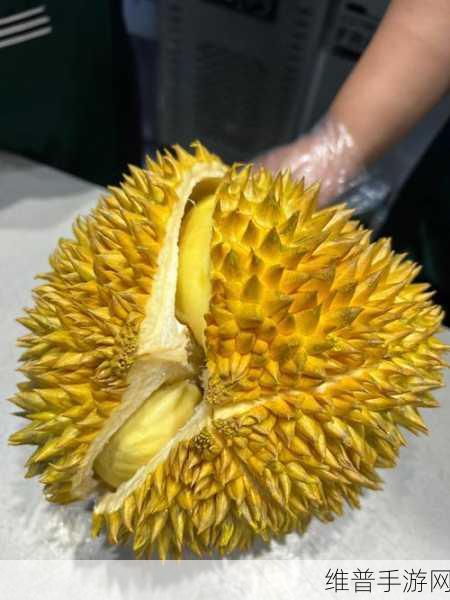 榴莲视频app 下载sg:榴莲短视频:趣味社交新体验【专题】