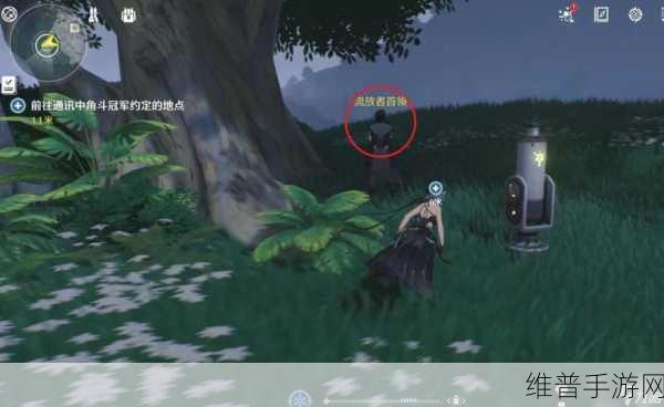 鸣潮角斗本色任务全解析，通关秘籍与详细攻略