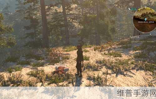 河洛群侠传,红杉护卫位置与祖传之物支线全解