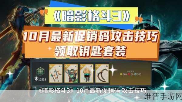 暗影格斗 3 新手必备格斗秘籍