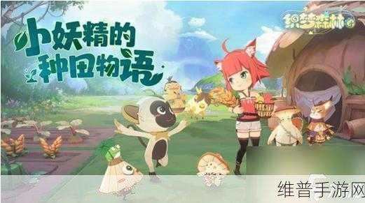 织梦森林货币全攻略,轻松获取财富秘籍