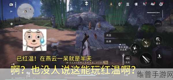 燕云十六声猫猫石头坑位置全揭秘