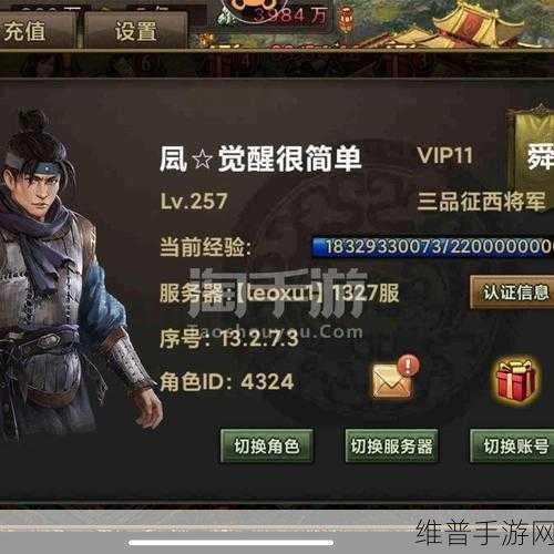 攻城掠地十珍宝，深度解析与致胜攻略