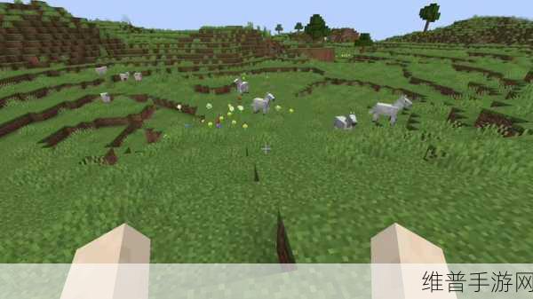 我的世界如何高效探索地狱:《我的世界》地狱探索攻略:新手必看的高效冒险技巧【专题】