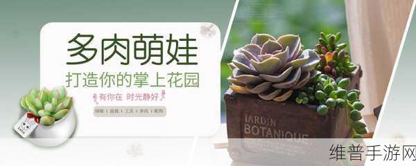 多肉模拟器下载，打造你的专属多肉花园