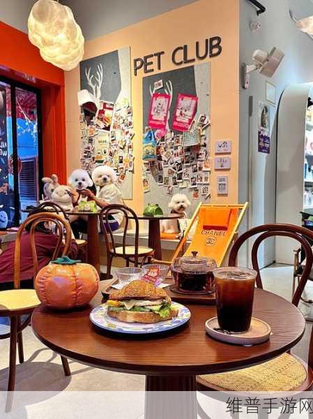 美女和男生生猴子软件:萌宠配对交友【专题】