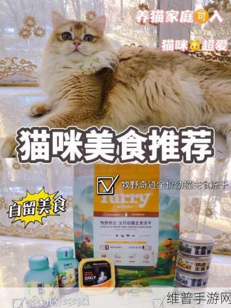 猫咪小吃店官方版下载安装,打造你的全新美食经营传奇