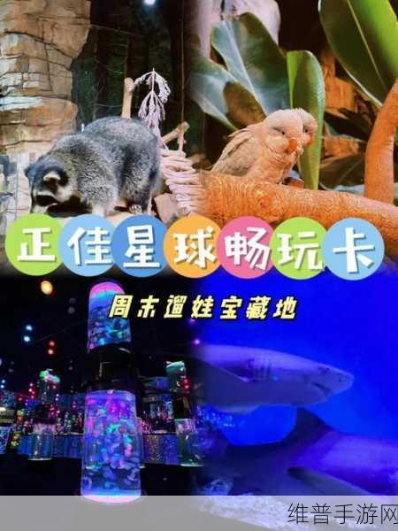 亚洲一卡二卡三卡四卡:亚服畅玩卡【专题】