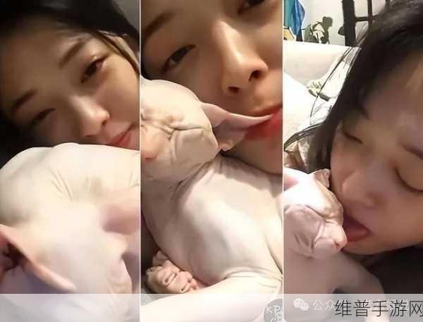 宋慧乔大瓜被肛瘘的原因：宋慧乔健康状况引发网友关注【专题】