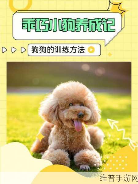 元气小狗下载指南，解锁狗狗养成的无限乐趣
