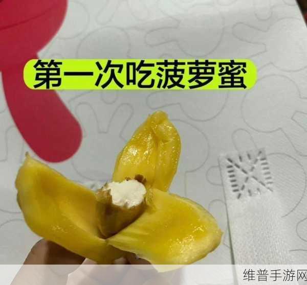 菠萝蜜视频入库:视频收藏夹【专题】