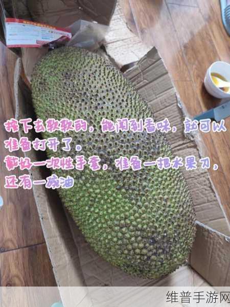 菠萝蜜视频入库:视频收藏夹【专题】