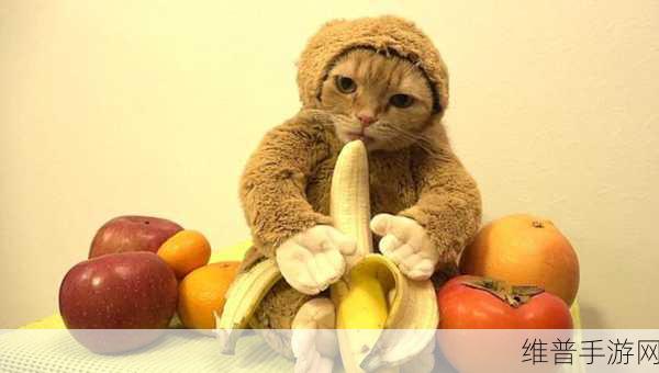 香蕉视频appAV：香蕉短视频 - 趣味生活分享【专题】