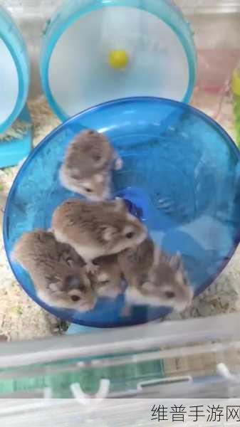 人与畜禽：萌宠大作战【专题】