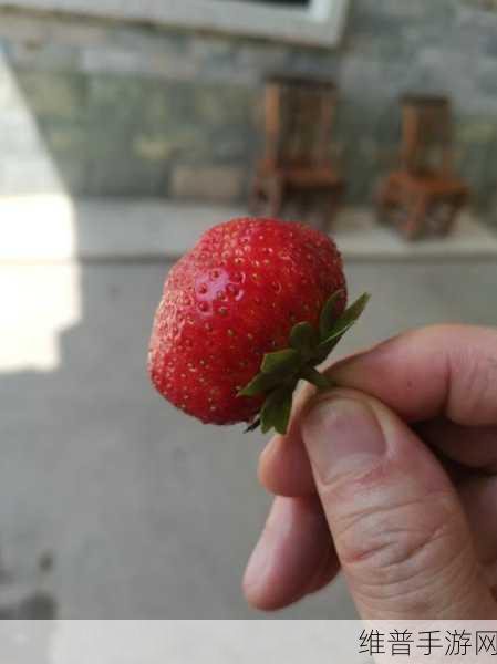 草莓视频404：草莓直播 - 甜蜜时刻【专题】