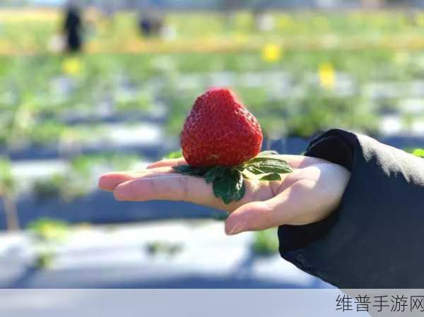 草莓视频404：草莓直播 - 甜蜜时刻【专题】