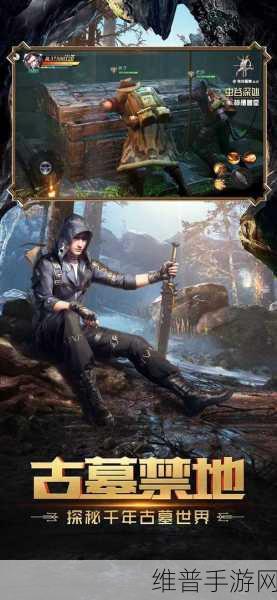 怪盗迷城安卓版下载，解锁休闲解谜闯关新体验