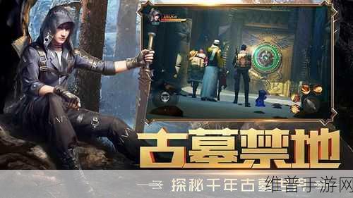 怪盗迷城安卓版下载，解锁休闲解谜闯关新体验