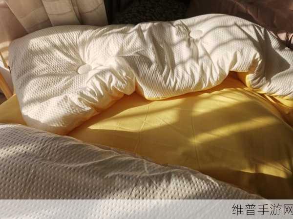 打剧烈运动不盖被子：运动后出汗别着凉【专题】