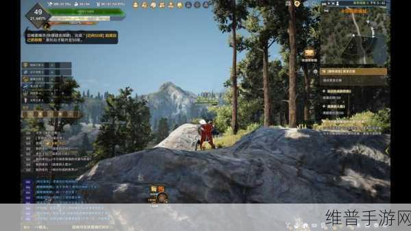 黑色沙漠手游前期速升全攻略，实用策略助你轻松蜕变成长