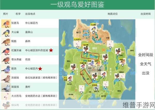 心动小镇巨地鸠鸟寻觅攻略,详尽位置介绍与探索指南