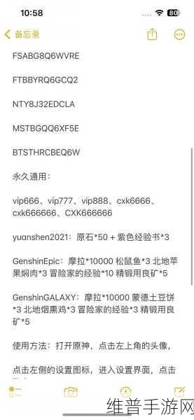 原神兑换码输入指南,轻松解锁游戏福利的秘诀
