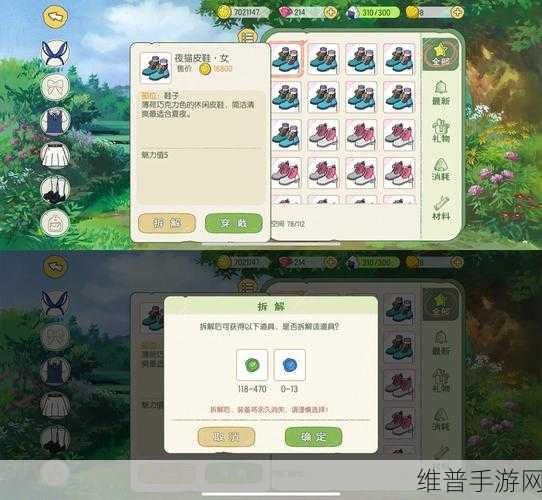 小森生活手游攻略,全面解析如何获取捕捉绳