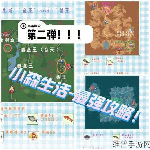 小森生活手游攻略,全面解析如何获取捕捉绳