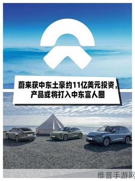 蔚来大动作!拓展中东北非市场,手游公司视角下的市场机遇与策略布局