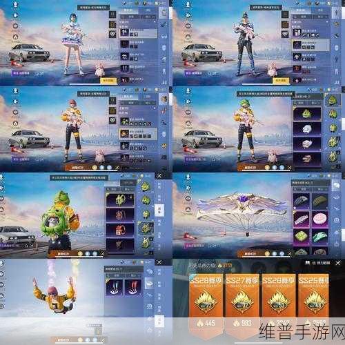 和平精英充值攻略,解锁性价比最高的氪金选项