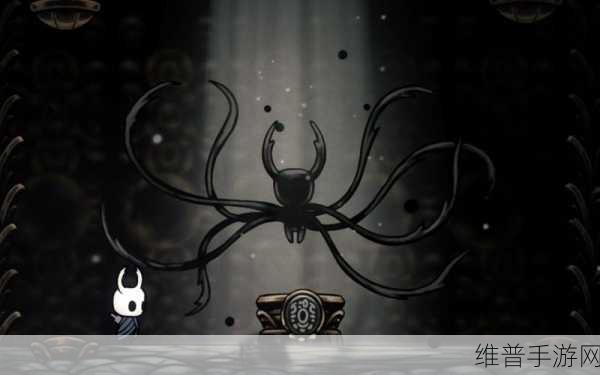 空洞骑士,探寻辐光的神秘所在