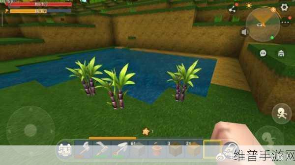 迷你世界甘蔗种植收获与资源管理高效策略全面解析