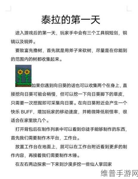 泰拉瑞亚,梦魇镐制作全攻略