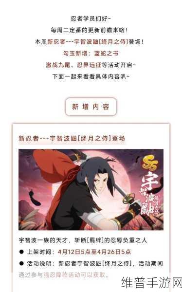 火影忍者手游新区开服流程与公测细节全面深度揭秘