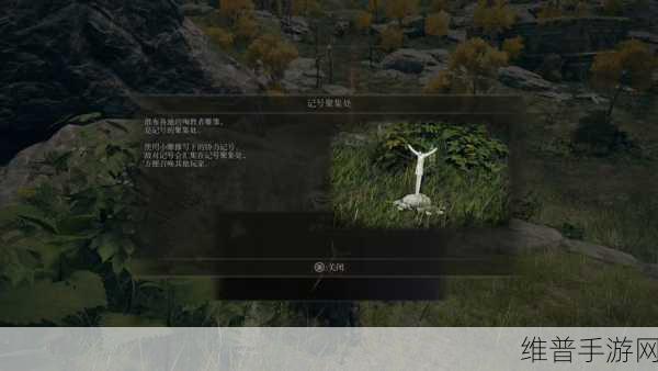 艾尔登法环近战攻速提升全攻略，打造高速战斗体验