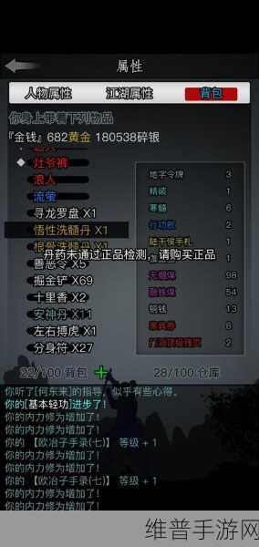 放置江湖中洗髓的奥秘与解锁指南