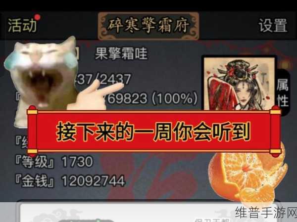 放置江湖中洗髓的奥秘与解锁指南