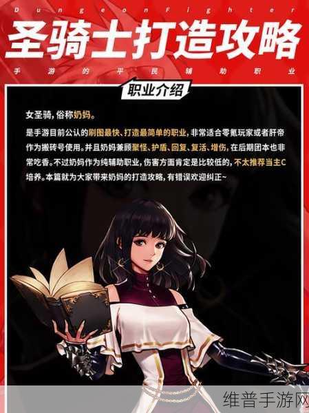 DNF手游佣兵职业深度剖析，揭秘团队中的核心奶妈角色
