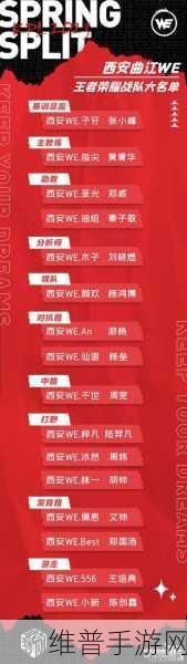 王者荣耀KPL战队实力解析,探寻每队顶尖选手