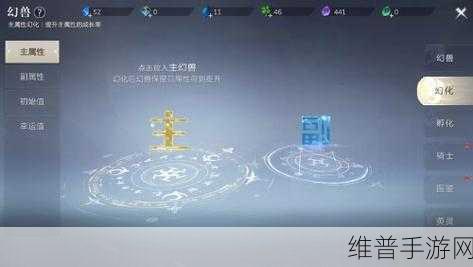 魔域手游幻兽培养全攻略，深度解析幻兽培养技巧