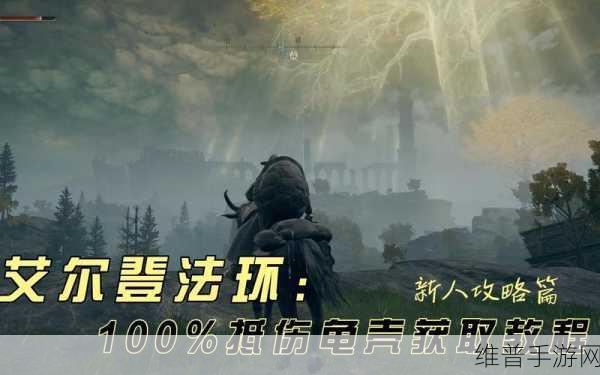 艾尔登法环大乌龟壳获取全攻略,解锁强力防御盾牌