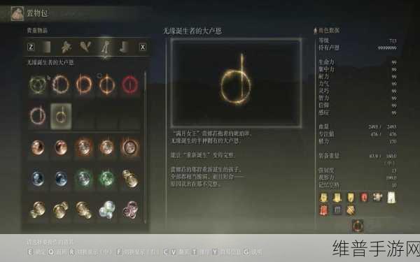 艾尔登法环全攻略,解锁所有大卢恩的详细指南