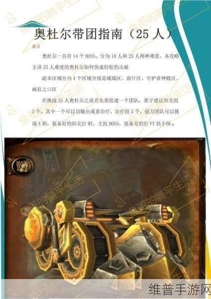 魔兽世界手游攻略,奥杜尔团队副本25人与10人成就龙详解