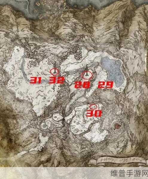 艾尔登法环圣杯露滴全收集攻略，揭秘圣杯露滴位置大全