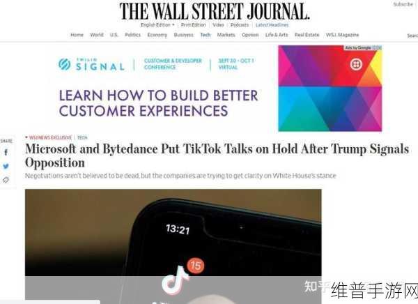 TikTok在美国停止服务，手游攻略数据的深度分析与影响